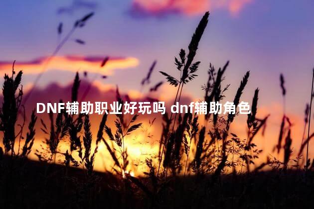 DNF辅助职业好玩吗 dnf辅助角色排行榜